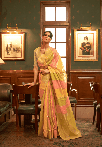 Organza Multi Colour Sarees